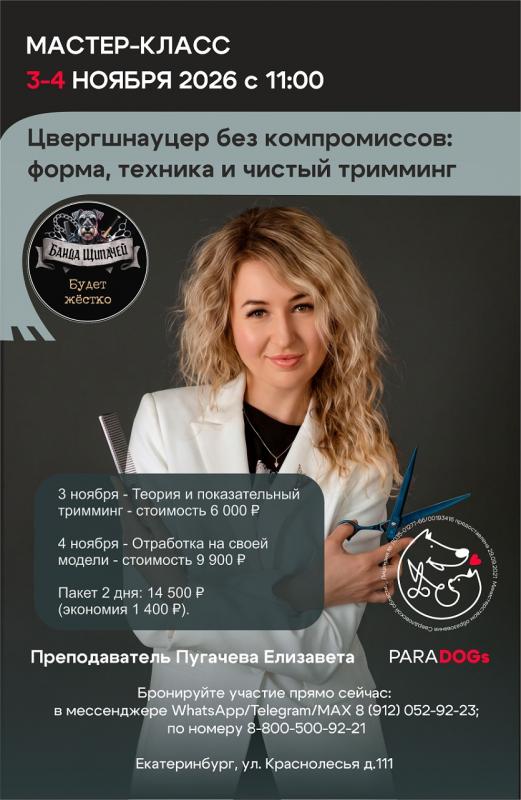 Цвергшнауцер без компромиссов: форма, техника и чистый тримминг