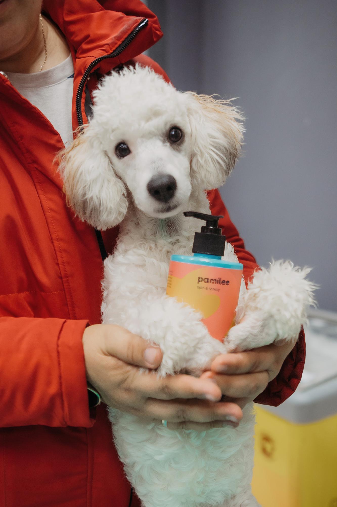 Какую уходовую косметику для животных выбирают сотрудники Paradogs. Какую уходовую косметику для животных выбирают сотрудники Paradogs.