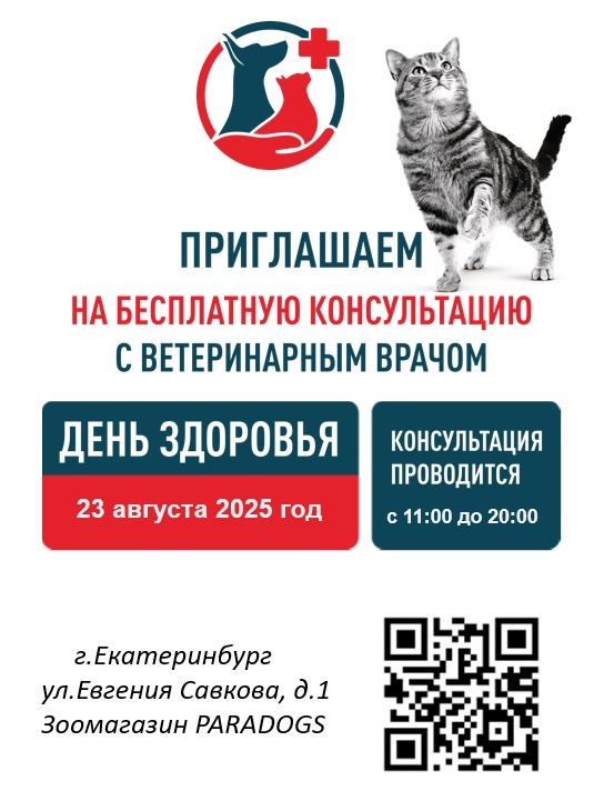День здоровья - 23 Августа! Бесплатная консультация ветеринара День здоровья - 23 Августа! Бесплатная консультация ветеринара