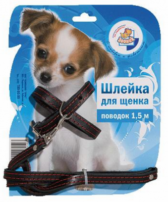 Шлейка с Поводком Зооник Для Щенков Кожаная